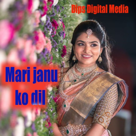 Mari Janu Ko Dil (Rajasthani) | Boomplay Music