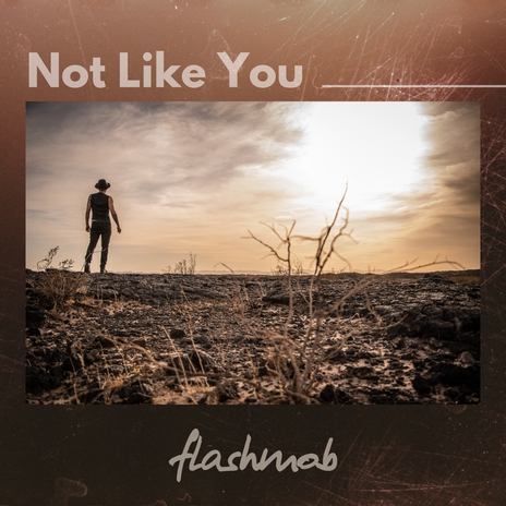 Not Like You (Radio Edit) | Boomplay Music