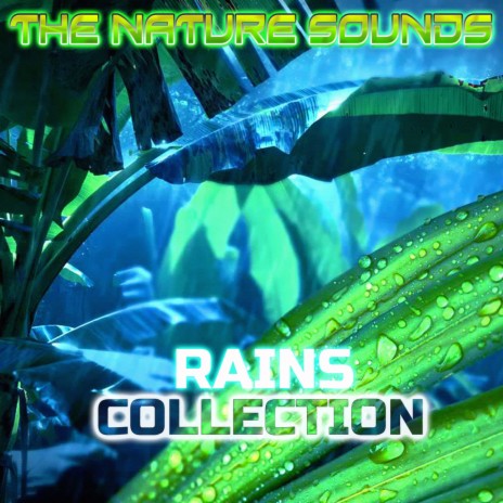Meditation Rain (feat. Nature Sound, Rain Unlimited, Weather Forecast, Nature Essentials, Ocean Library & Rain In The Ocean) | Boomplay Music