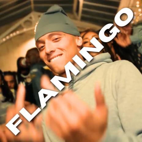 FLAMINGO | Boomplay Music