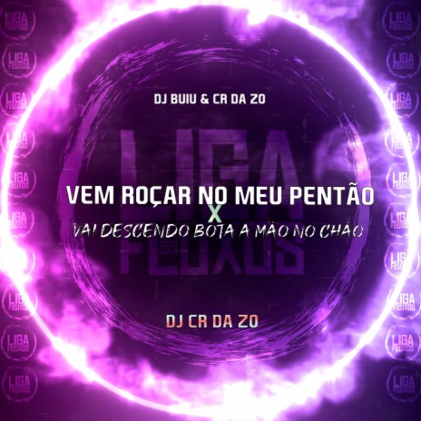 Vem Cá Roçar no Meu Pentão X Vai Descendo Bota Mão no Chão ft. DJ BUIU & dj cr da zo | Boomplay Music