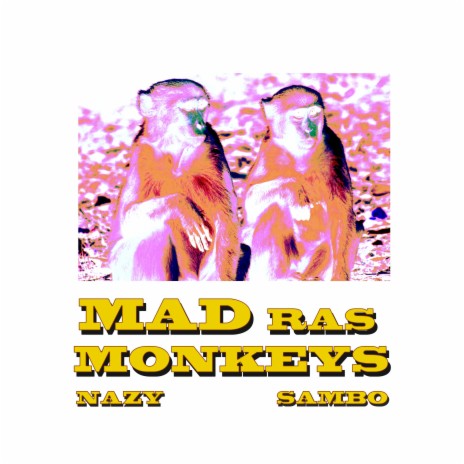 Madras Monkey's