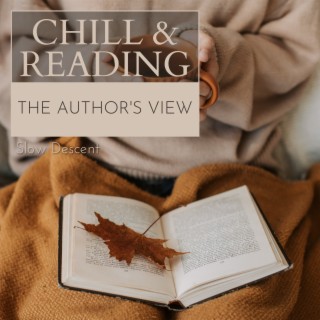 Chill & Reading - The Author's View