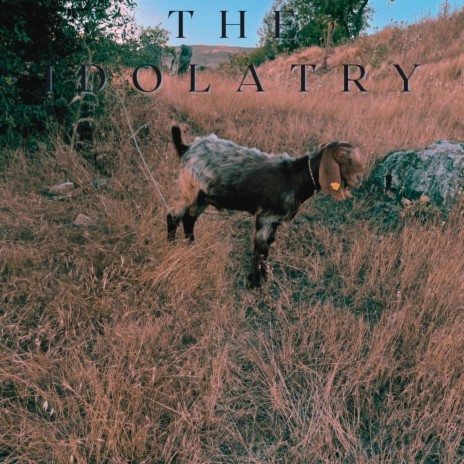 The Idolatry | Boomplay Music