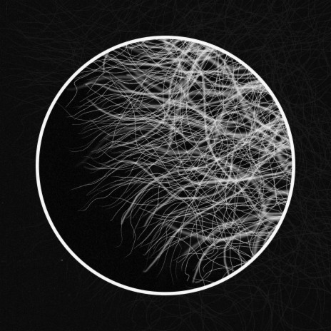 Mycelium | Boomplay Music