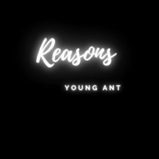 Reasons