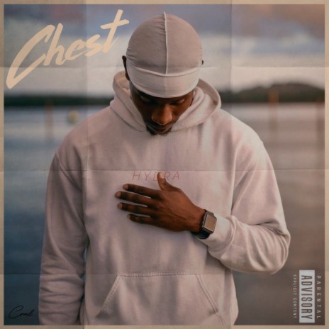 Chest | Boomplay Music