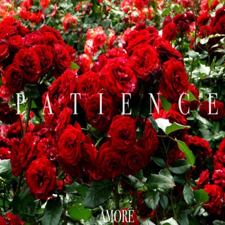 Patience | Boomplay Music