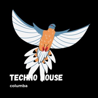 Techno house columba