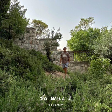So Will I | Boomplay Music