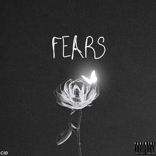 FEARS (Excerpts from my diary)