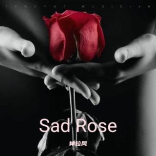 Sad Rose