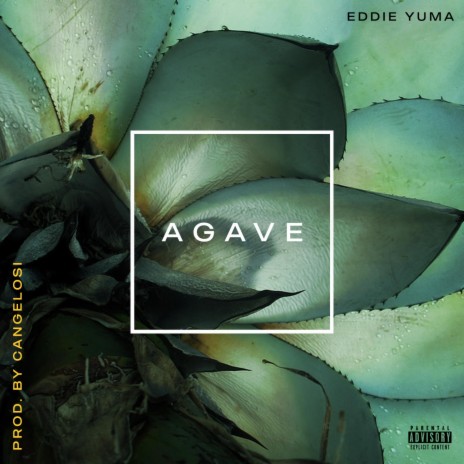 Agave | Boomplay Music