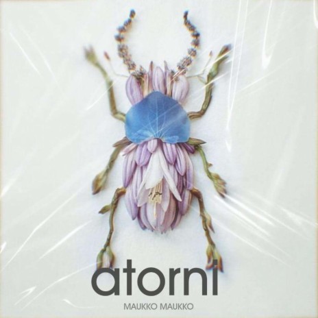 Atorni | Boomplay Music