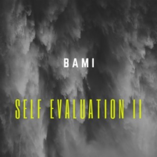 Self Evaluation II