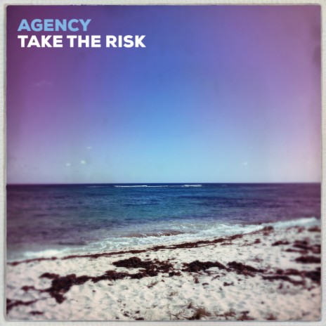 Take The Risk (Zerp Remix) | Boomplay Music