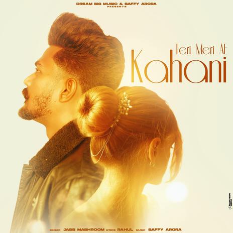 Teri Meri Ae Kahani | Boomplay Music