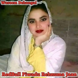 Redbull Piwadu Rehnuma Jaan