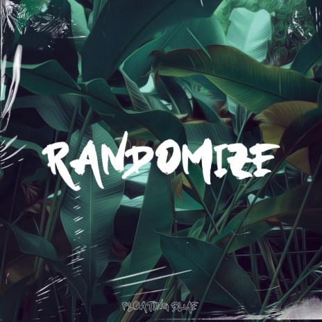 Randomize ft. Jerry Of Everything | Boomplay Music
