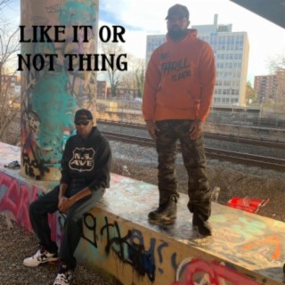 Like It or Not Thing (feat. ILLI) [Radio Edit]