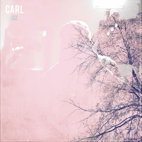 Carl | Boomplay Music