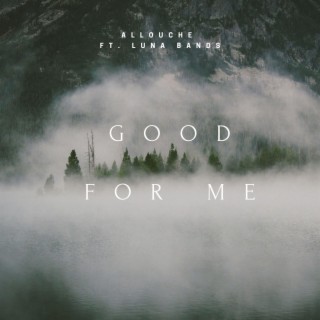 Good For Me (feat. Luna Bands)