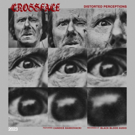 Distorted Perceptions | Boomplay Music