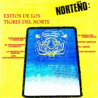 Norteño: éxitos de los tigres del norte