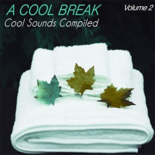 A Cool Break, Vol.2 - Cool Sounds Compiled