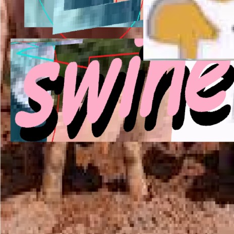 swine