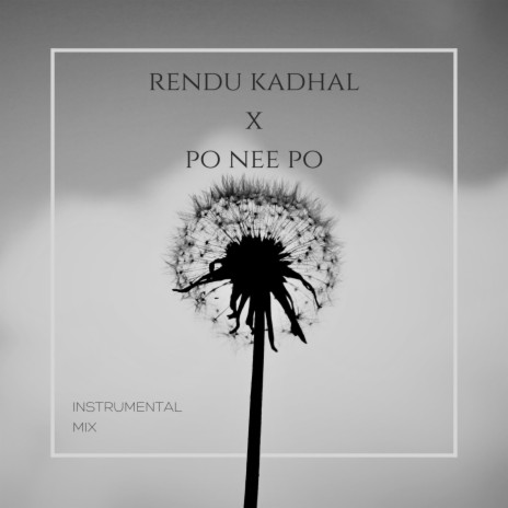 Rendu Kadhal x Po nee Po (Intrumental Mix)