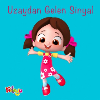 Uzaydan Gelen Sinyal