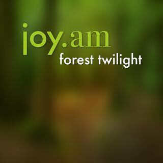 forest twilight