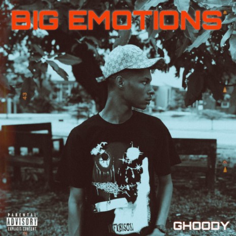 Big Emotions | Boomplay Music