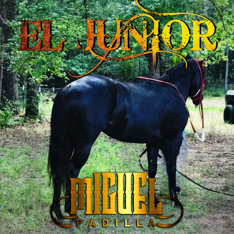 El Junior | Boomplay Music