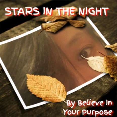 Stars in the Night | Boomplay Music