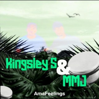 AmaFeelings lyrics | Boomplay Music