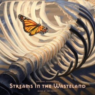 Streams in the Wasteland (Original Soundtrack)