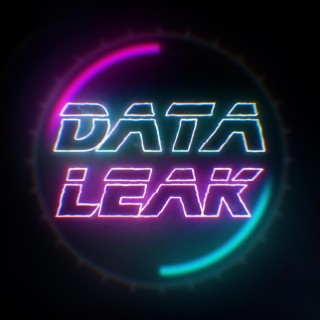 Data Leak