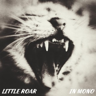 Little Roar In Mono