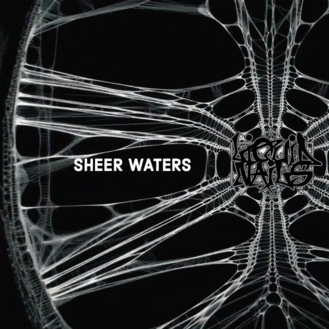 Sheer Waters | Boomplay Music