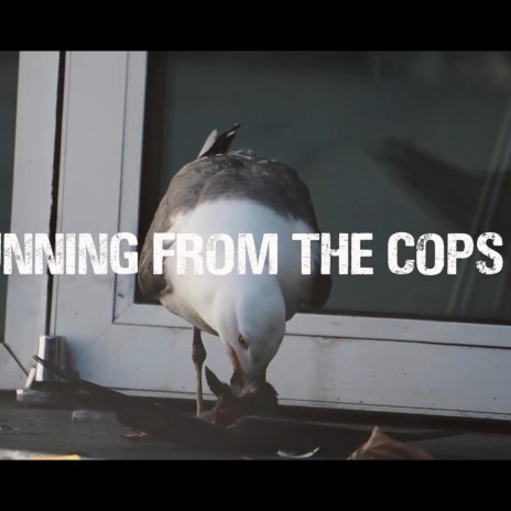 Running from the Cops (feat. el Garro & Mr.Aaron) | Boomplay Music