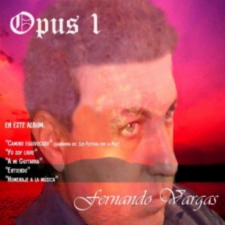 Opus 1