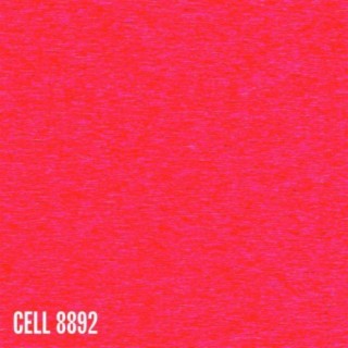 Cell 8892