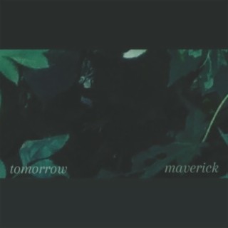 Maverick lyrics | Boomplay Music