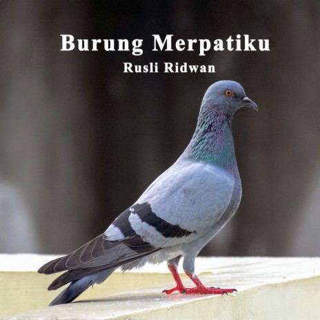 Burung Merpatiku | Boomplay Music