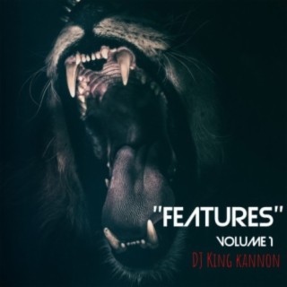 DJ King Kannon