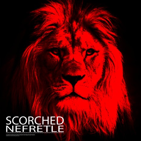 Scorched | Boomplay Music