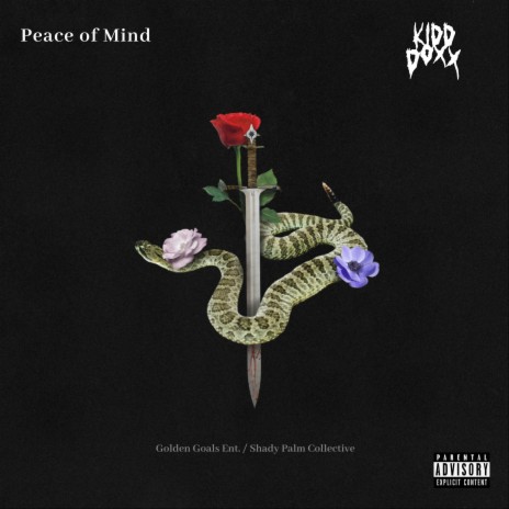 Peace of Mind | Boomplay Music