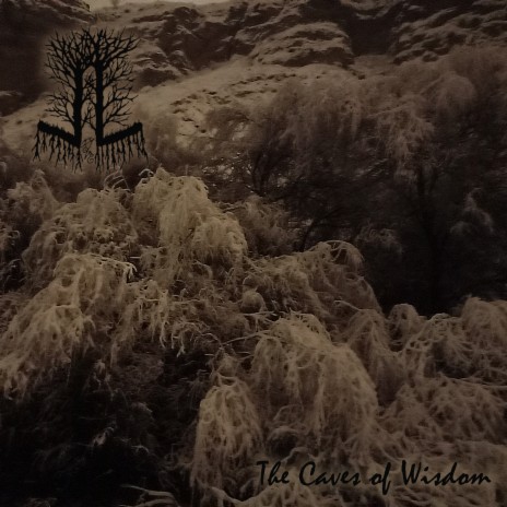 The Caves Of Wisdom | Boomplay Music